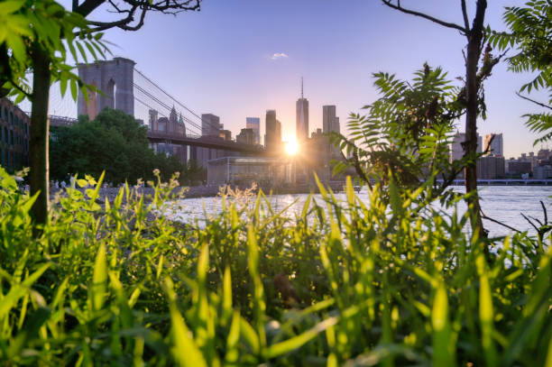 istock New York City skyline from Brooklyn, New York 2180255049