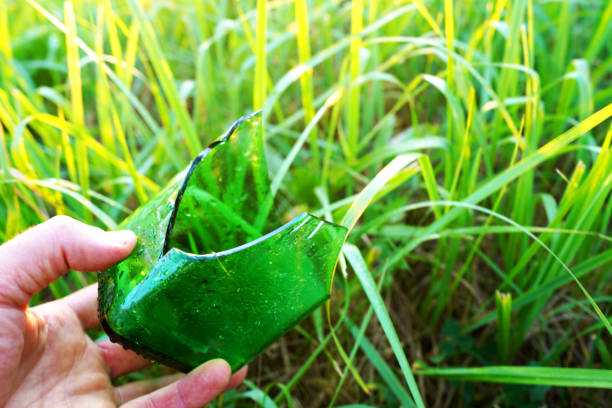Broken glass bottle in grass. Broken Glass on ground in grass lawn. Breaking glass pollution in nature. Fragments of Garbage bottle. Ecology. Abandoned garbage in nature. Environmental pollution.