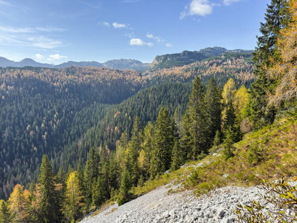 Scenic view on mountains and forest, Slovenia on sunny day.