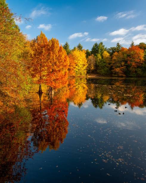 istock Autumn landscape with vibrant foliage and lake reflection. 2180261619