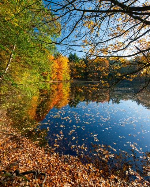 istock Autumn Foliage Reflected in Lake 2180261656