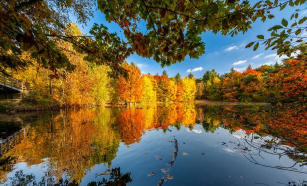 istock Autumn landscape with vibrant foliage and calm lake reflection. 2180261662
