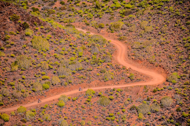 istock A dirt road winds through a desert with a few bushes and cacti 2180264401