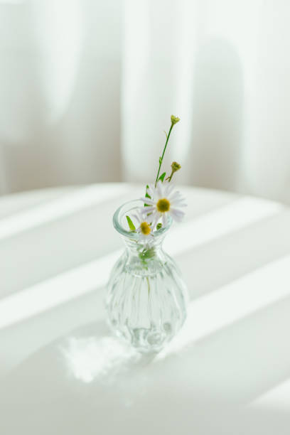 istock Beautiful daisy flowers in glass vases 2180270049