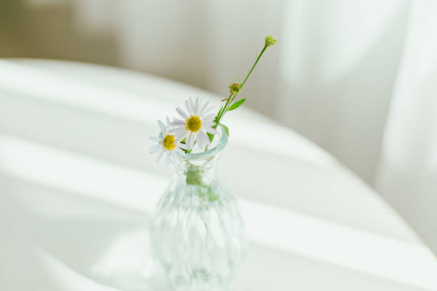 istock Beautiful daisy flowers in glass vases 2180270114