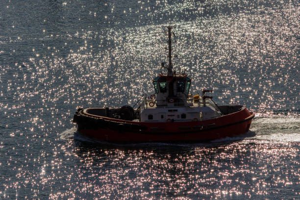 Tug boat seen off of the Saanich Peninsula on Vancouver Island, British Columbia