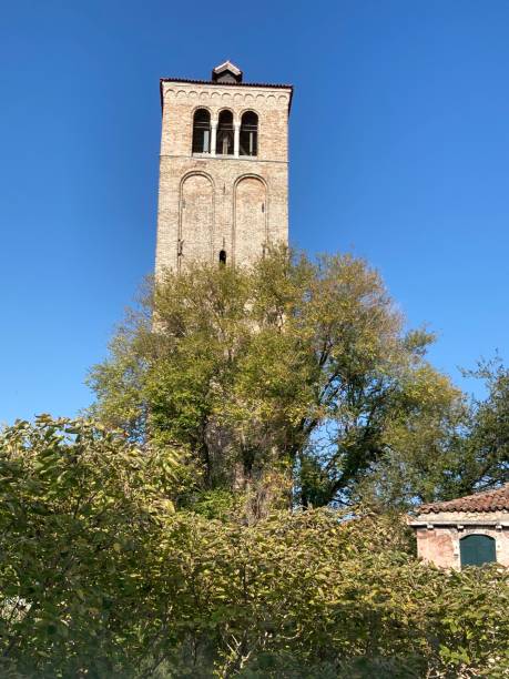 istock Tower rising above the trees. 2180274915