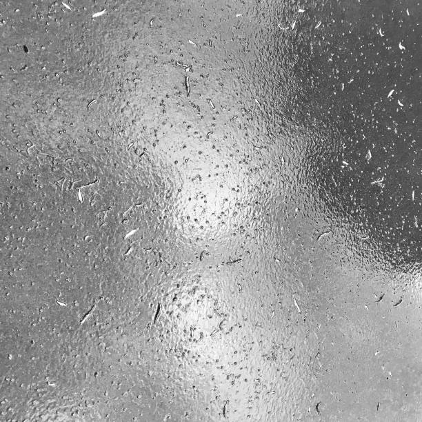 Small dried plant fragments scattered across the surface irregularly distributed and are various shapes and sizes. The wet damp rain surface has some diffuse reflection of light and highlights.
