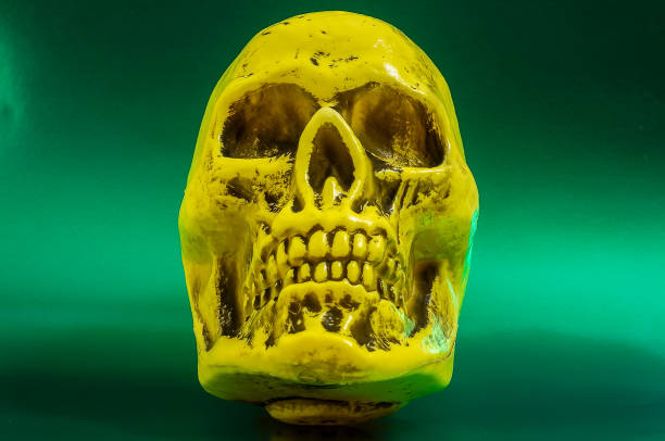A yellow skull is on a green background. The skull is made of plastic and has a yellow color