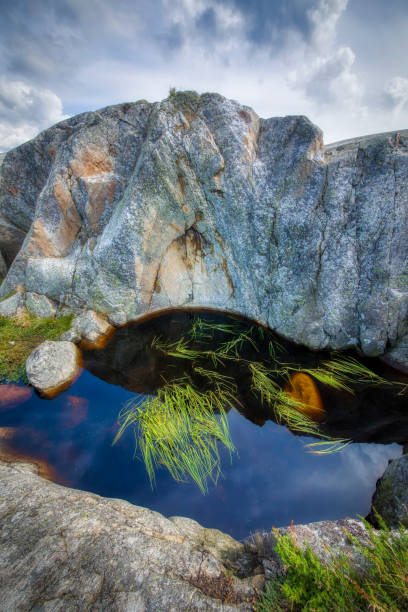 mountain river in mountain forests in Khibiny