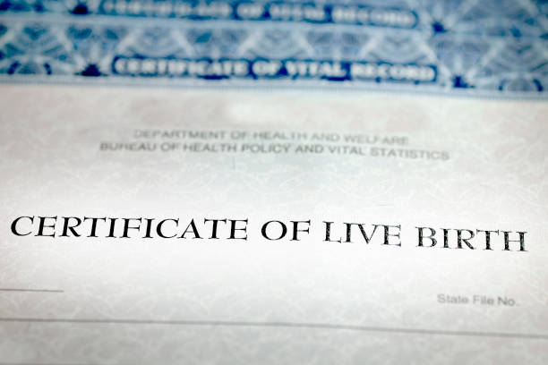 istock Birth Certificate Form Paper Official Baby Born as Record Document 2180290608