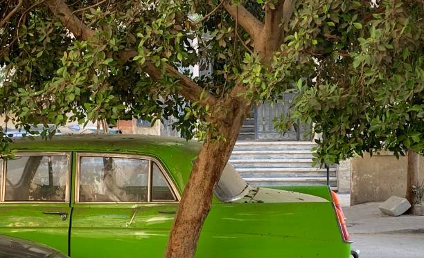 istock Vintage car in green 2180291213