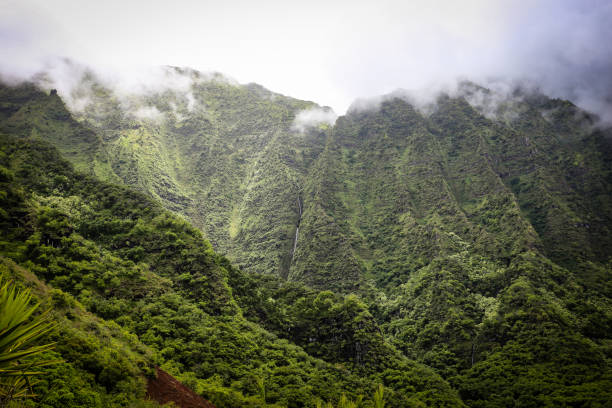 istock Cloudy Mountains Above the Kalalau Trail 2180291879