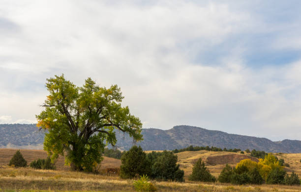 istock Scenic Fall landscape in Chatfield State Park, Colorado 2180298124