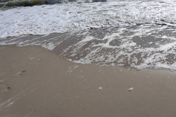 istock Soft Ocean Waves Gently Washing Over Sandy Beach with Foam 2180299832