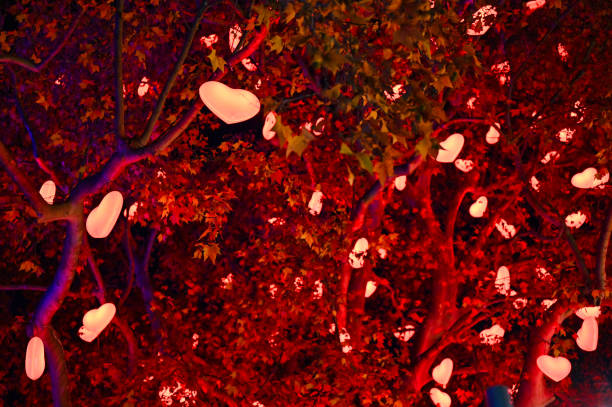 istock Illuminated tree with heart shaped lights at night in Vienna, Christmas 2180300567
