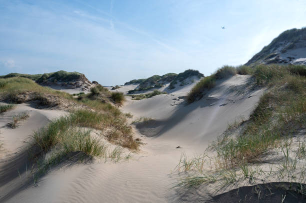istock Dunes with beach grass on the North Sea coast 2180308451
