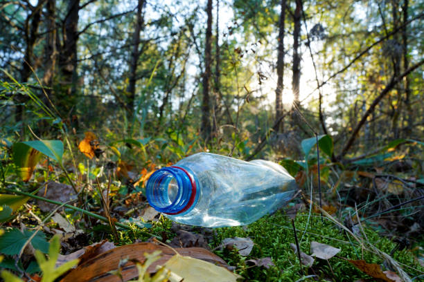 istock Plastic bottle thrown away in forest. Garbage in nature, reusable products. 2180312440