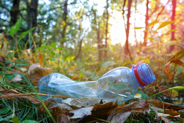 istock Plastic bottle thrown away in forest. Garbage in nature, reusable products. 2180312474