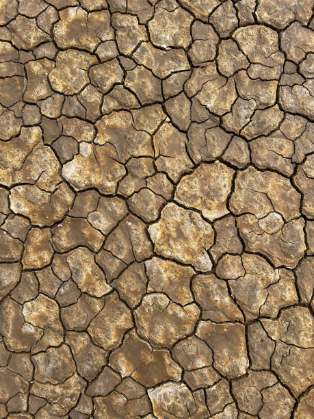 istock Cracked Desert Dry Earth Texture – Parched Soil in Arid Environment 2180314592
