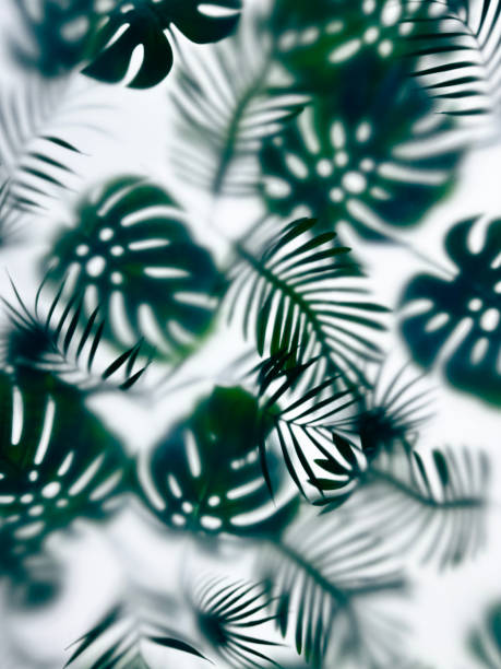 istock Botanical background with green leaves on white. 2180320359