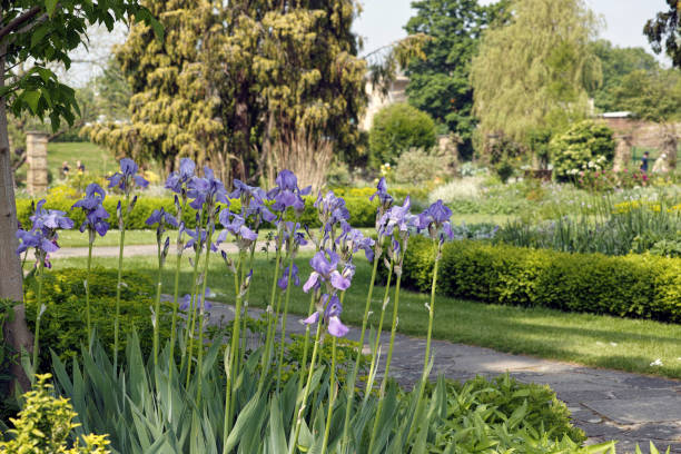 istock The Old English Garden in Danson Park 2180322487