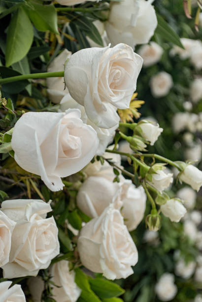 istock Wedding decoration in Altos de Chavon 2180330122