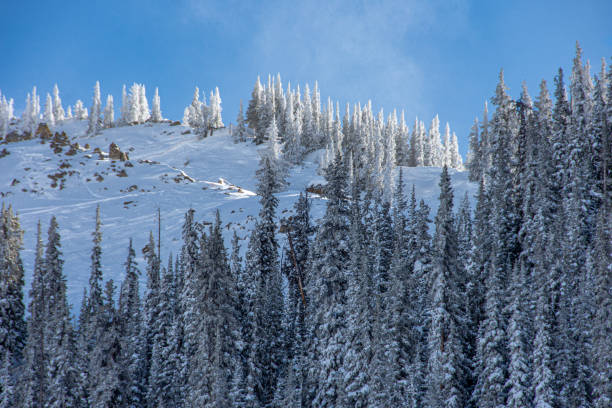 A low angle sun shining through the trees on the edge of a snow covered ridge at Crested Butte ski resort in Colorado.