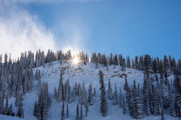 A low angle sun shining through the trees on the edge of a snow covered ridge at Crested Butte ski resort in Colorado.