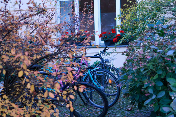 picturesque autumn on the streets of Berlin