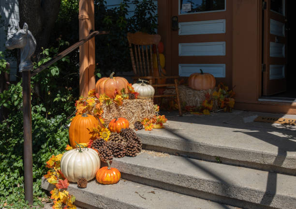 Outdoor display of pumpkins celebrating halloween and fall