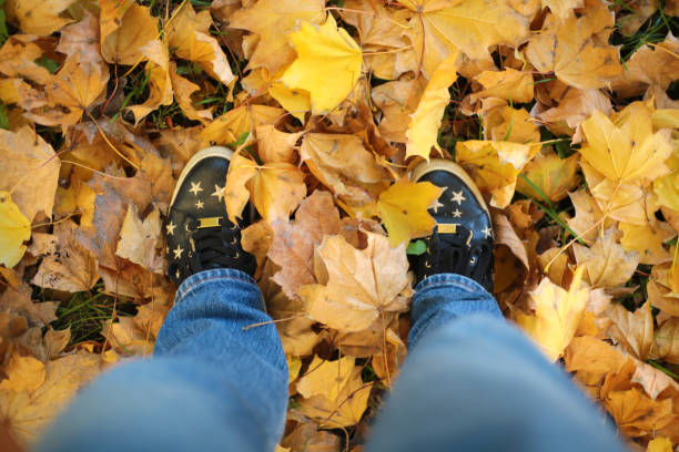 A top-down view of a person standing on a bed of colorful autumn leaves. The person's shoes, decorated with star patterns, stand out against the vibrant yellow and brown leaves.