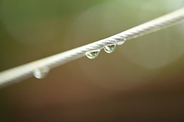 water drops on wire macro photography wet dew rain