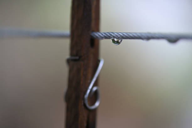 water drops on wire macro photography wet dew rain