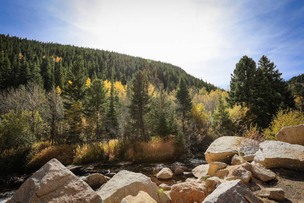 Boulders frame a tranquil stream, where vibrant autumn foliage glows under bright sunlight, showcasing the natural beauty of Colorados landscape.