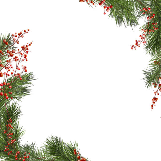 istock Pine branches and red berries on a holiday card. Watercolor digital illustration. Spruce lush branches decorated with winter berries isolated on a white background. . For Christmas and New Year theme 2180346689