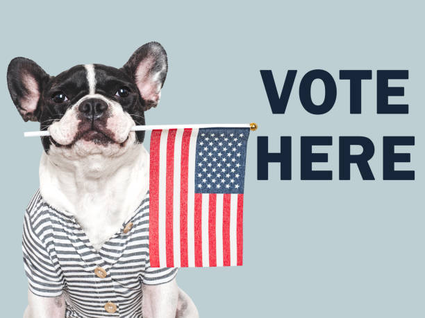 istock VOTE HERE. US Elections. 2024 Presidential Election 2180348129