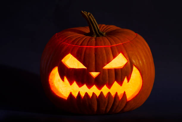 Halloween background. Halloween pumpkin isolated on black