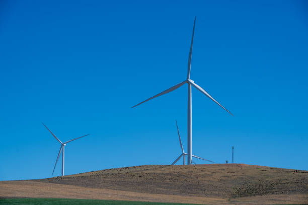 Wind farm, wind turbines in rural South Australia