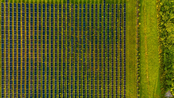 istock Photovoltaic array covers agricultural fields of rural Pennsylvania in Poconos 2180356101