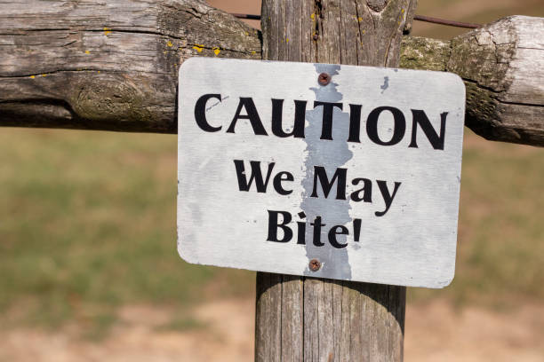 istock Warning sign stating caution with playful message about potential biting near a fenced area in a rural setting 2180356284