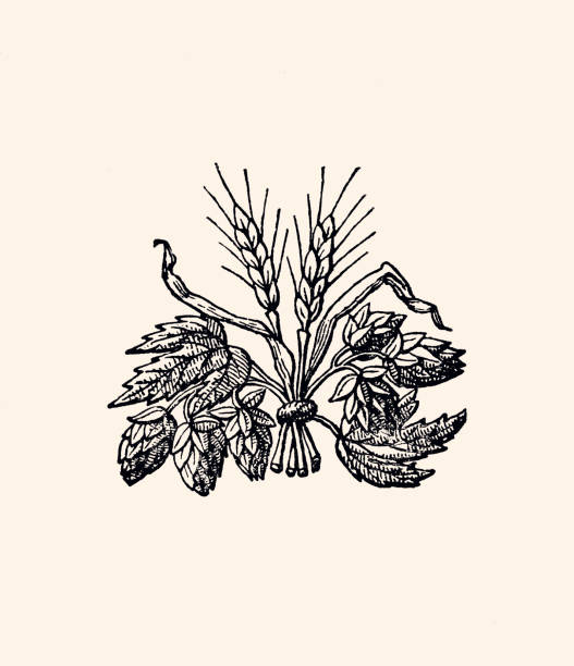 Design element, leaves pattern : Vintage engraving circa late 19th century. Digital restoration by pictore.