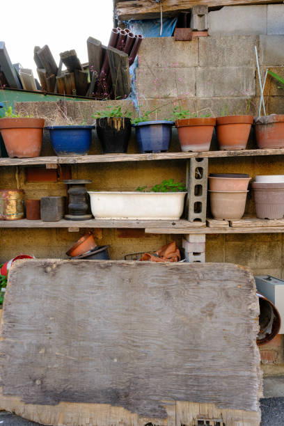 Different colored clay flowerpots on wooden shelves.