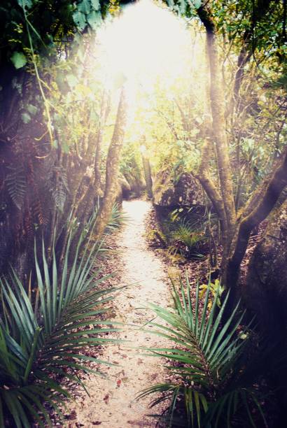 istock Footpath or Pathway Leading to Diminishing perspective in a nature setting. 2180372716