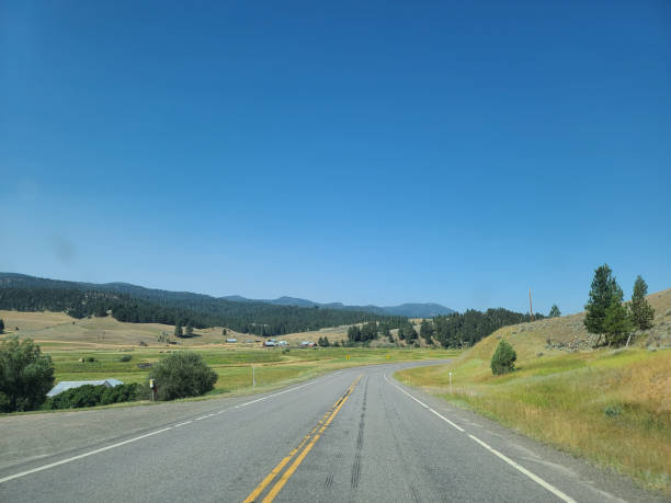 A long, straight road stretches through a vast, open landscape with golden grass and distant mountains under a clear blue sky. The scene conveys a sense of freedom and adventure.