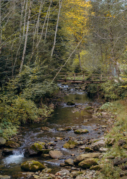 istock Mountain river in the autumn forest. 2180377637