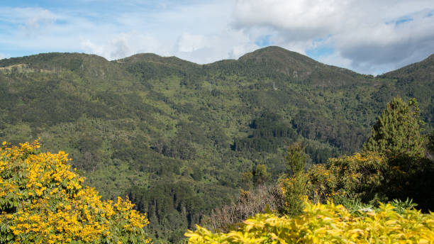 istock Monserrate Bogota 2180379697
