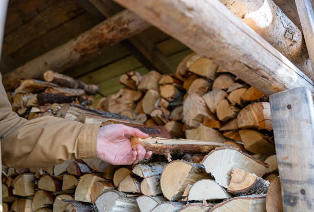 istock Hands of a man picking up firewood 2180380100