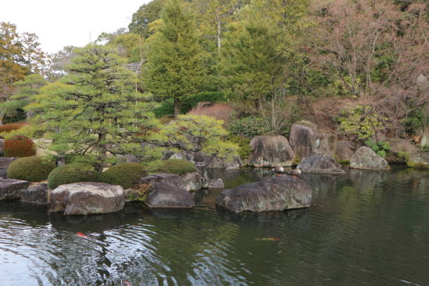 istock Lake and Japanese trees 2180388651