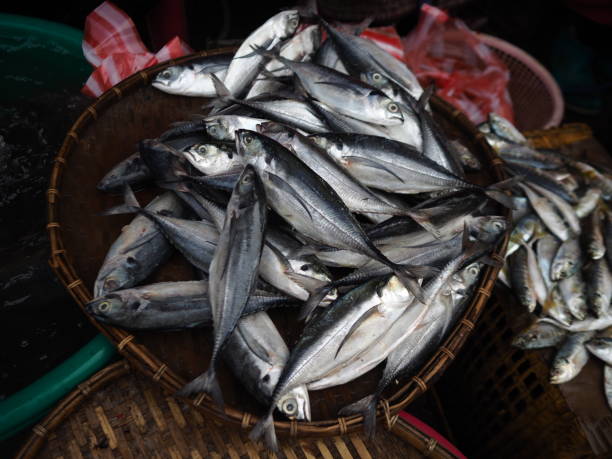 istock Mackerel in the market 2180389209